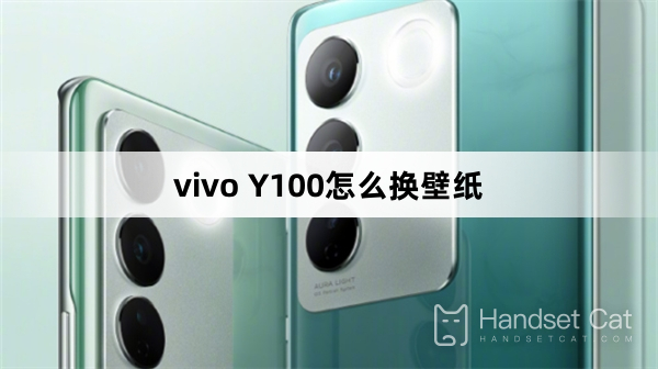 vivo Y100에서 배경화면을 변경하는 방법