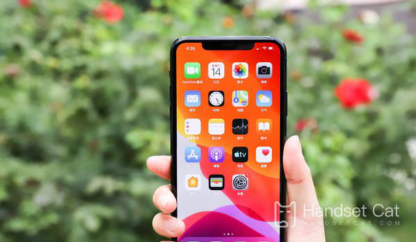 What are the promotional activities for purchasing iPhone11promax on the Double Twelfth