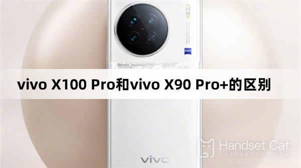 The difference between vivo X100 Pro and vivo X90 Pro+