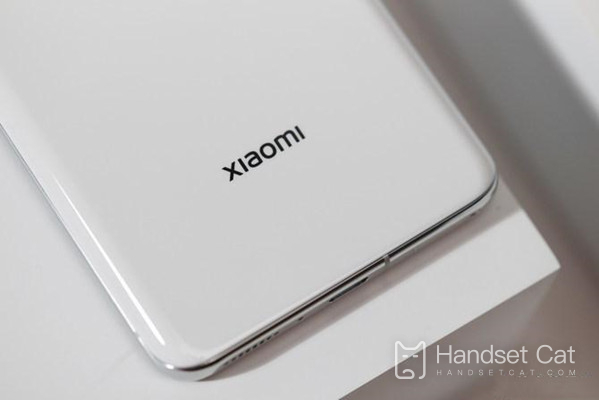 Is Xiaomi 12S Ultra screen fingerprint identification?