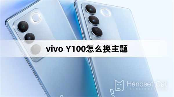 วิธีเปลี่ยนธีมของ vivo Y100