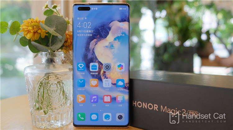 Does HONOR Magic3 Pro support Hongmeng system