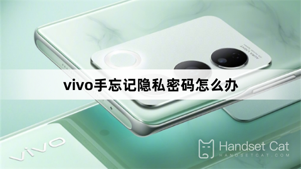 Vivo mobile phone forgot privacy password solution
