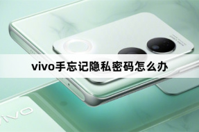 Vivo mobile phone forgot privacy password solution