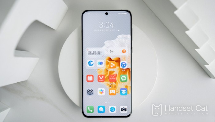 What screen is equipped with Huawei P70?