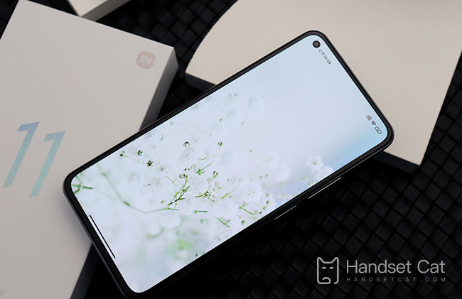 Combien de W de charge rapide le Redmi K60 prend-il en charge ?