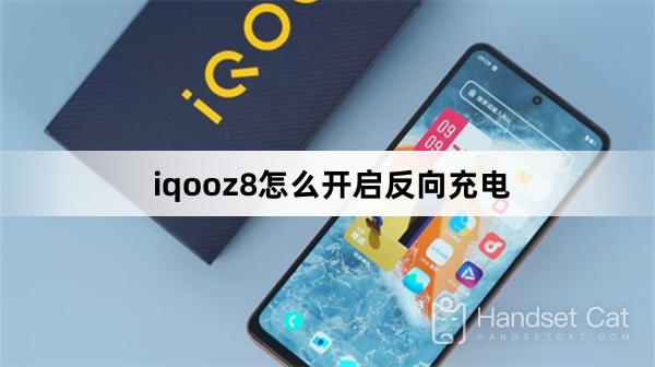 iqooz8怎麼開啟反向充電