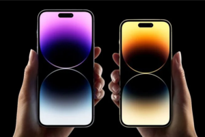 Ren Zeping pediu aos fãs de frutas que acordassem. Os usuários disseram que eu só gosto de ser teimoso...