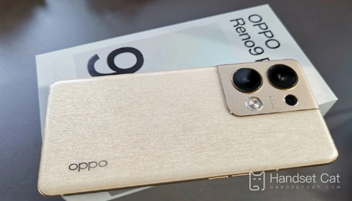 Cómo desinstalar el software integrado en el teléfono móvil OPPO