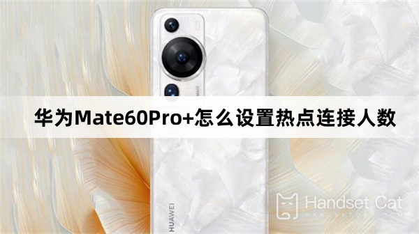 How to set the number of people connected to the hotspot on Huawei Mate60Pro+