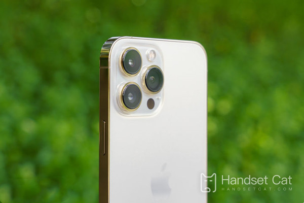 Verfügt das iPhone 14 Pro über eine Fingerabdruckerkennung auf dem Bildschirm?