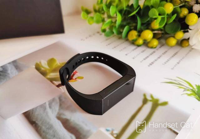 Comment redémarrer Redmi Band 2