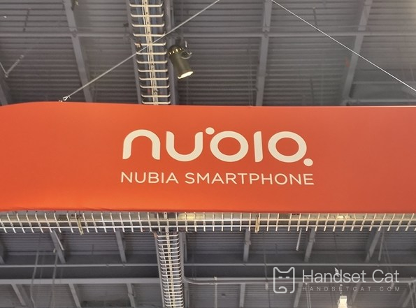 Does Nubia Flip support fast charging?