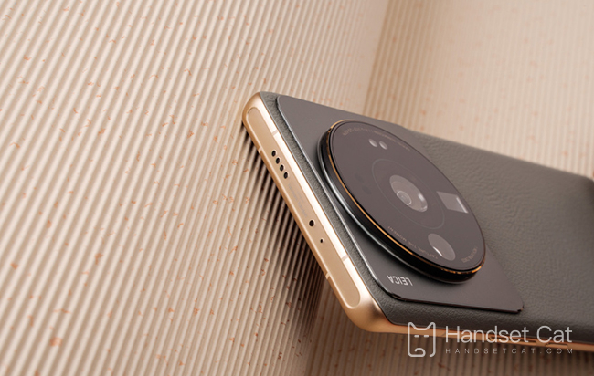 Le Xiaomi Mi 12S Ultra peut-il contenir deux cartes de télécommunications ?