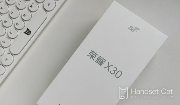 Honor X30은 어디에서 5G 네트워크를 끄나요?