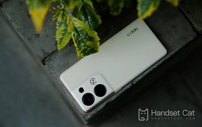 OPPO Reno9是2K屏嗎