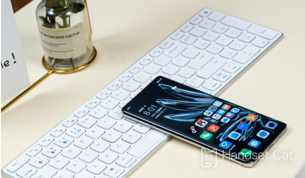 Bộ nhớ của Honor 80 SE có thể mở rộng được không?