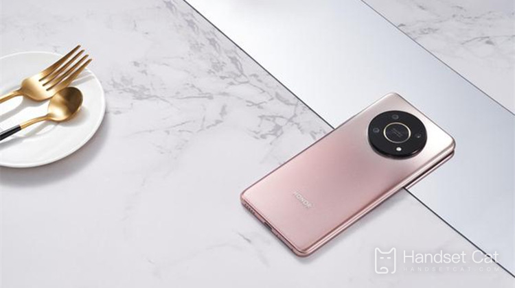 Honor X30 には何色ありますか?