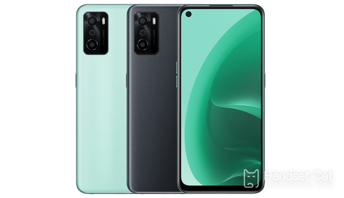 Welchen Bildschirm verwendet OPPO A55s?