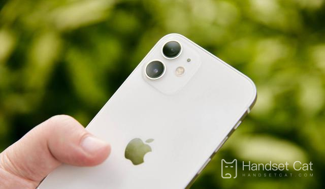 Kann das iPhone 12 mini magnetisch angezogen werden?