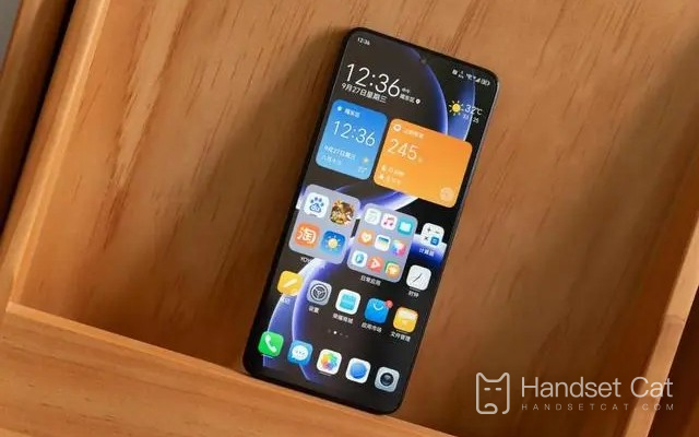 Cómo degradar el sistema de Honor Play8T