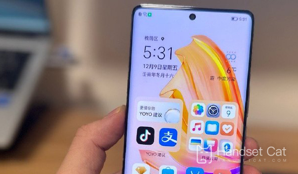 Honor 80 SE を逆充電できますか?