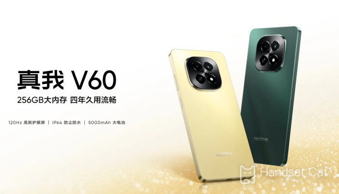 Wie viel kostet Realme V60?