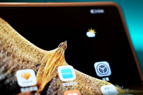 So stellen Sie die verzögerte Fotoaufnahme bei Honor Magic Vs Ultimate Edition ein