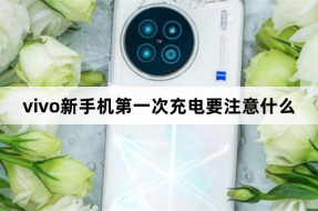 Precautions for the first charging of vivo new phones