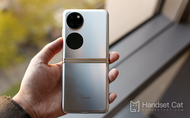 How to connect Huawei PocketS to a watch