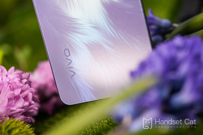 Vivo S16e फेशियल भुगतान सेटिंग विधि