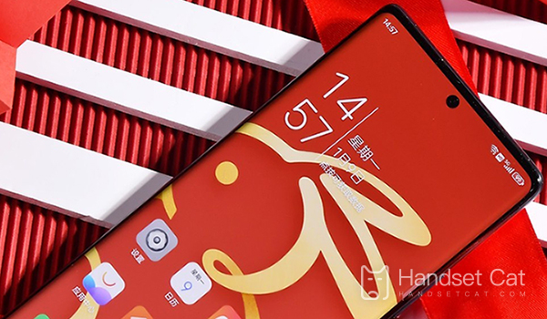 Nubia Z50 China Red Rabbit Limited Edition Express