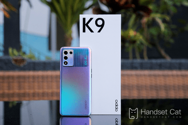 OPPO K9s Price Introduction
