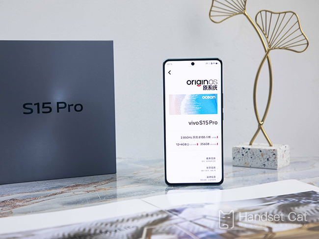 How to hide mobile phone software in vivo S15 Pro