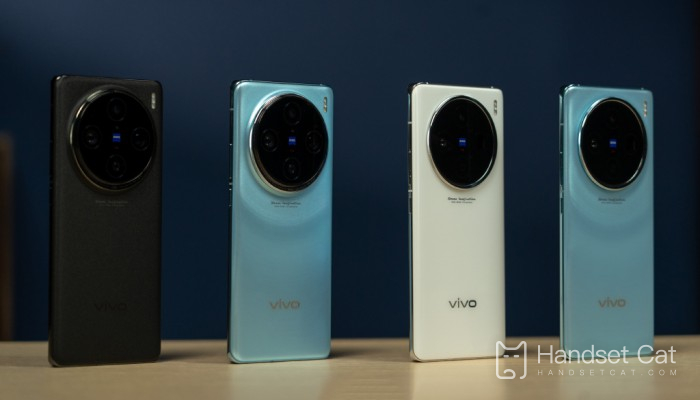 What is the difference between vivoX100 and X90s