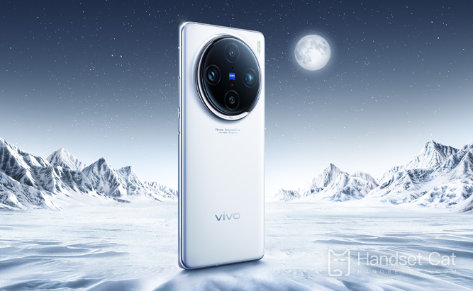 What processor is equipped with vivo X100 Pro+?