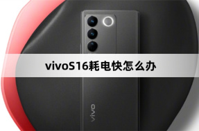 What to do if vivoS16 consumes too much power