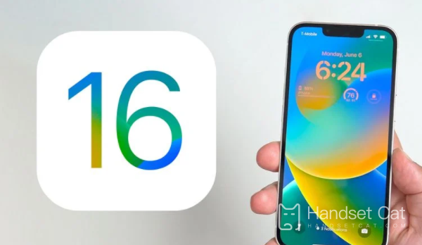 iOS16.3.1로 업그레이드한 후 다운그레이드할 수 있나요?