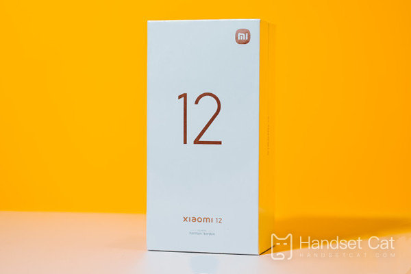O Xiaomi 12 pode adicionar memória?