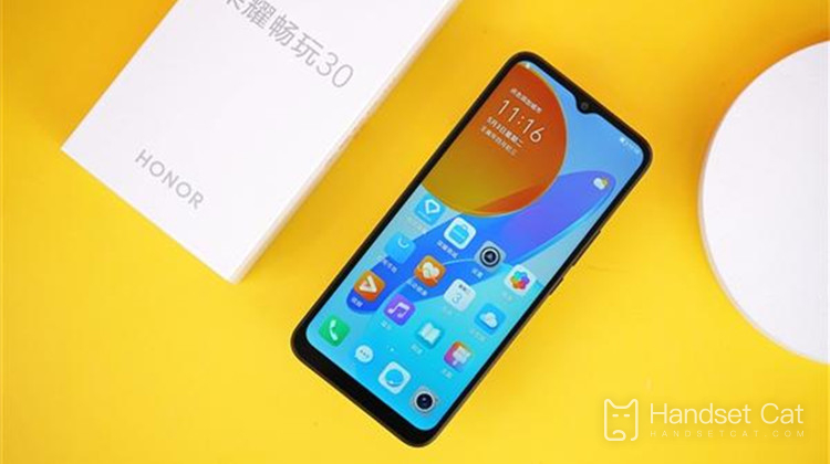 Honor Play 30의 화면 해상도는 어떻습니까?