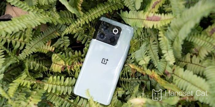 Cách kiểm tra OnePlus ACE Pro có phải là máy tân trang hay không